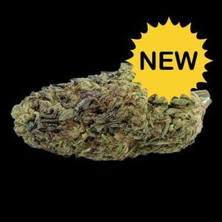 THCA Hemp Flower - Gush Mintz