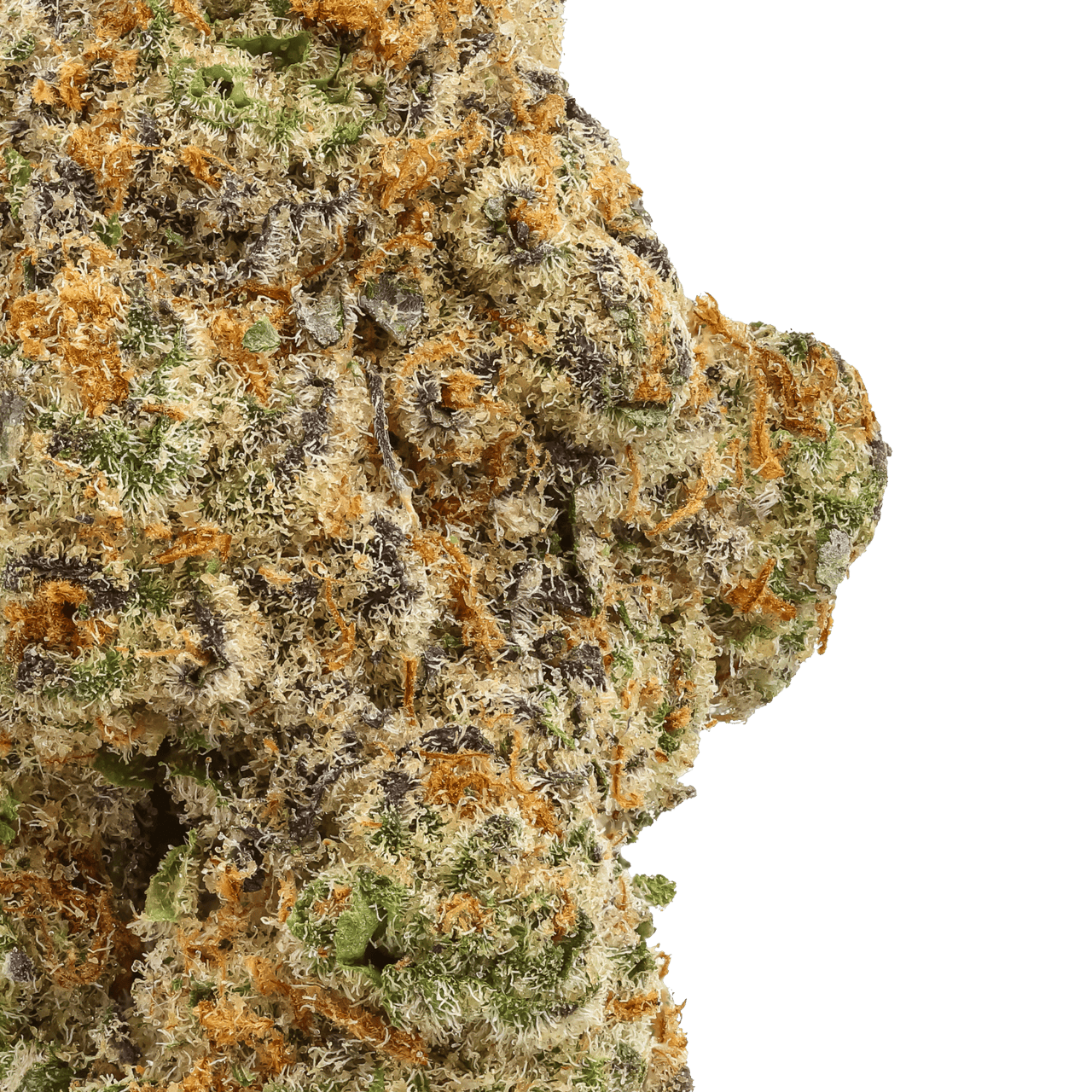 THCA Hemp Flower - Glitter Bomb