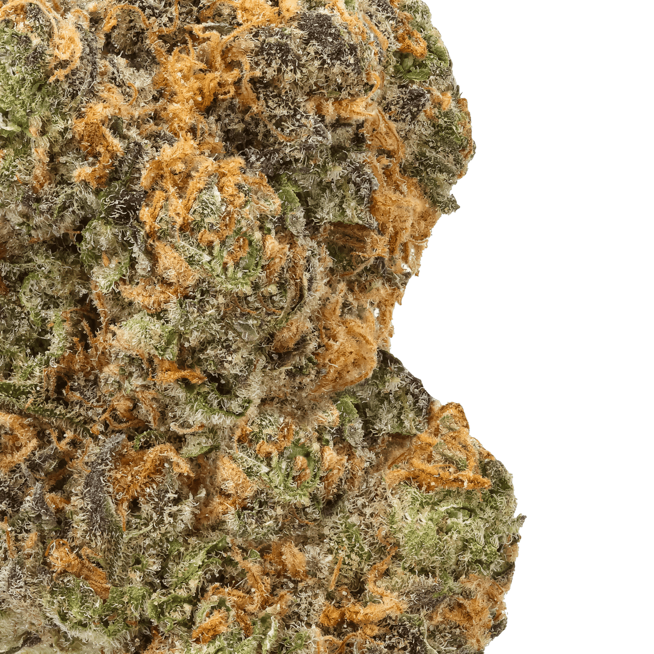 THCA Hemp Flower - Strawberry Gary