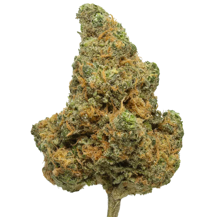 THCA Hemp Flower - Blue Dream