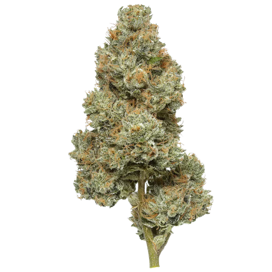 THCA Hemp Flower - PERMANENT MARKER
