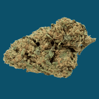 THCA Hemp Flower - Glazed Donut